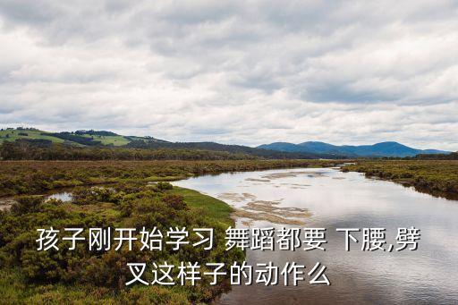 孩子刚开始学习 舞蹈都要 下腰,劈叉这样子的动作么
