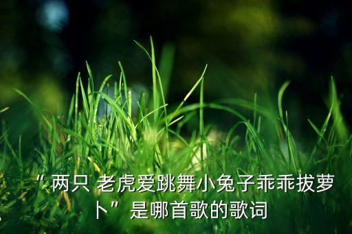 “ 两只 老虎爱跳舞小兔子乖乖拔萝卜”是哪首歌的歌词
