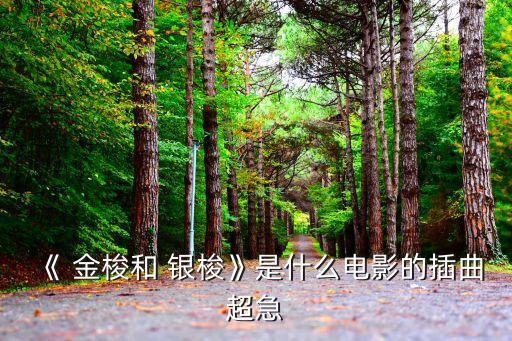 《 金梭和 银梭》是什么电影的插曲超急
