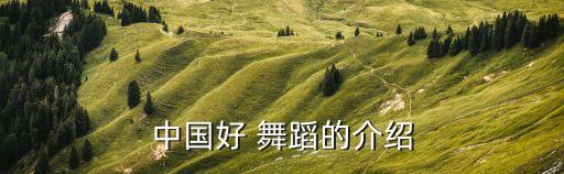 中国好 舞蹈的介绍