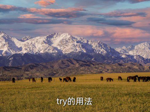 try的用法