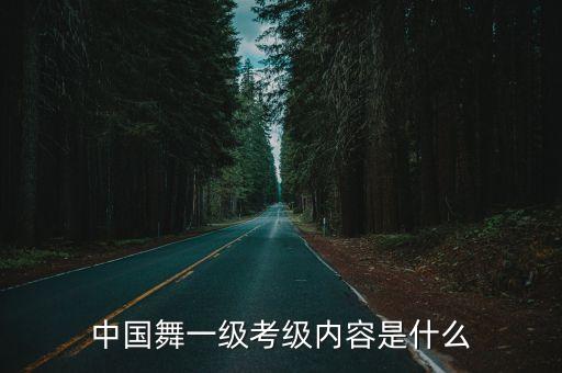 中国舞蹈考试勾绷脚,专业舞蹈机构可直接注册考试比较正规