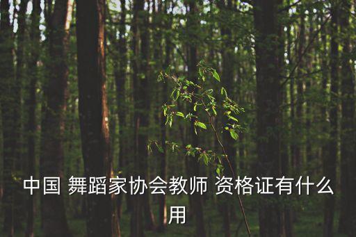 中国 舞蹈家协会教师 资格证有什么用