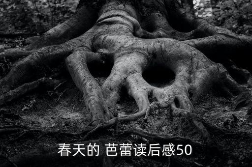 春天的 芭蕾读后感50