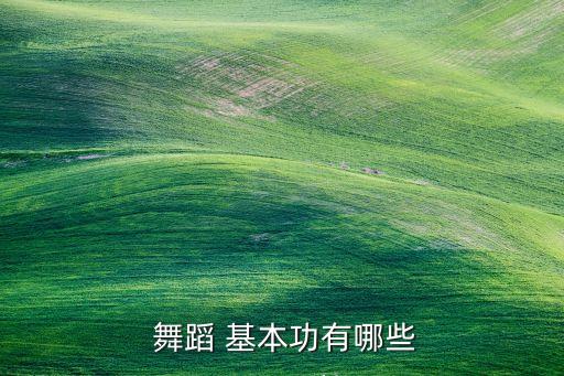  舞蹈 基本功有哪些