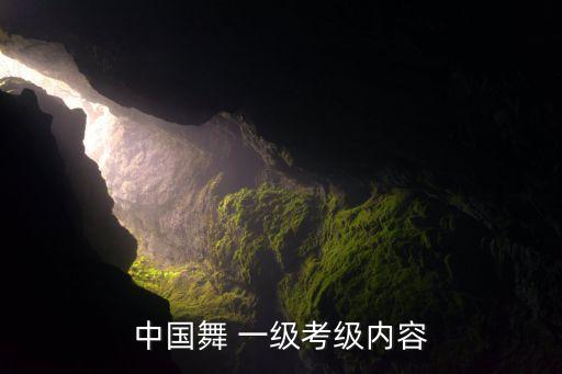 一级的舞蹈,中国舞蹈等级考试教材培养孩子对舞蹈的喜爱