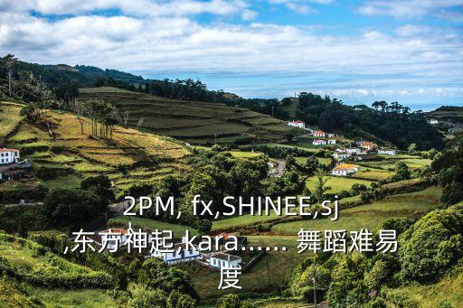 2PM, fx,SHINEE,sj,东方神起,kara…… 舞蹈难易度