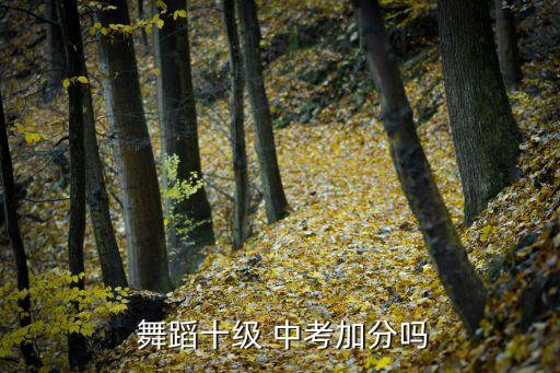 中考舞蹈能加分吗,北京中考:烈士子女中考获20分