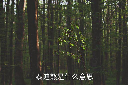 泰迪熊英语舞蹈,泰迪熊以总统昵称命名以胡拉胡普命名