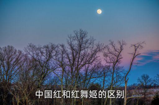 中国红舞蹈分解动作,《中国风之火》舞蹈分享