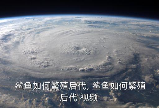  鲨鱼如何繁殖后代, 鲨鱼如何繁殖后代 视频