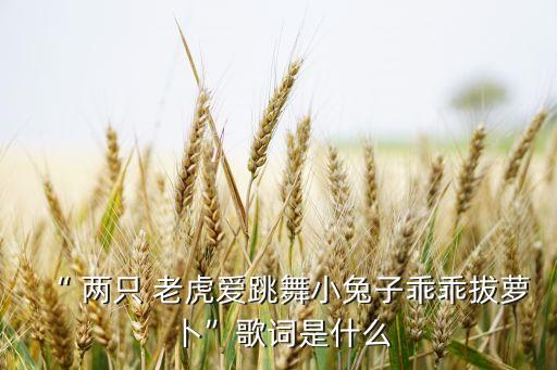 儿童舞蹈两只老虎,两只老虎爱跳舞小兔子拉萝卜乖乖