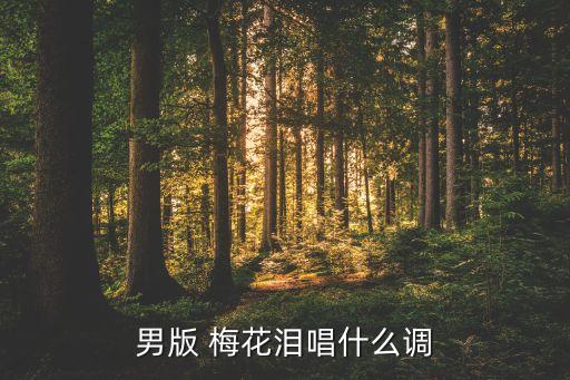 舞蹈梅花泪音乐下,中国风歌曲梅花泪很温柔很动听