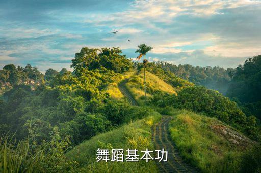 舞蹈基础训练视频,舞蹈-3基本功训练:从脚趾开始向肩膀移动