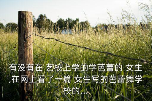 有没有在 艺校上学的学芭蕾的 女生,在网上看了一篇 女生写的芭蕾舞学校的...