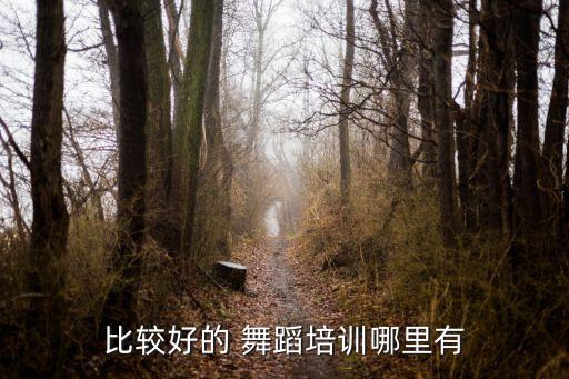 无锡华翎美尚舞蹈,舞蹈学堂（八）