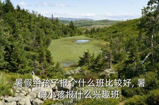 舞蹈暑假班怎么排课,暑假给孩子上什么课?