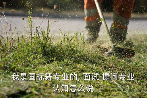 我是国标舞专业的, 面试 提问专业认知怎么说