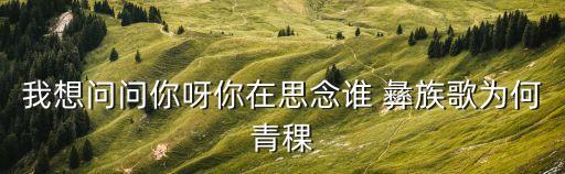 彝族舞蹈 《情深意长》,《彝族之歌》第二首