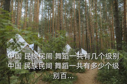 民族考级舞蹈2级,中国民族民间舞蹈考级分为三个等级