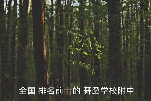  全国 排名前十的 舞蹈学校附中