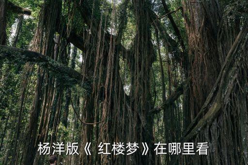 舞蹈红楼梦视频下载,红楼梦全集txt下载链接: