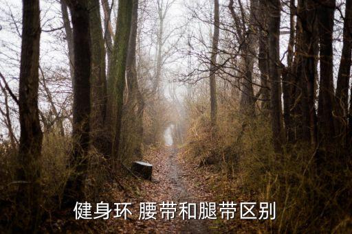 健身环 腰带和腿带区别