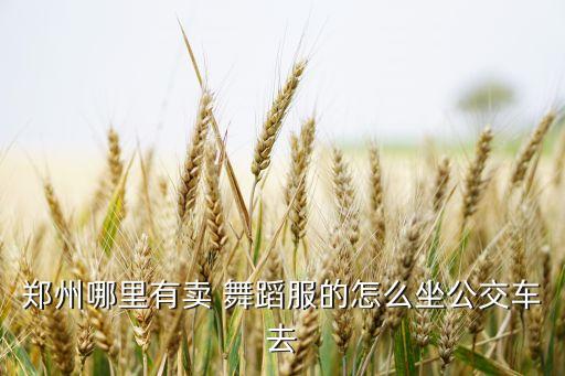 浪俏金丝绒广场舞蹈服,金丝绒有哪些缺点?一起来看看!