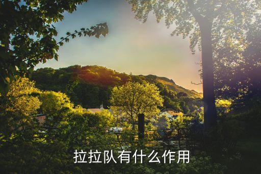  拉拉队有什么作用
