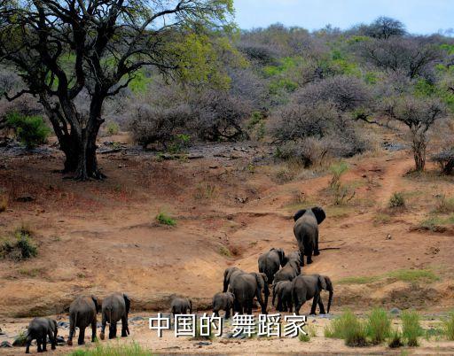 中国的 舞蹈家