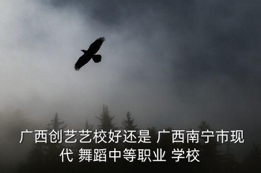 广西舞蹈学校,广西艺术学院附属中心小学美术系毕业