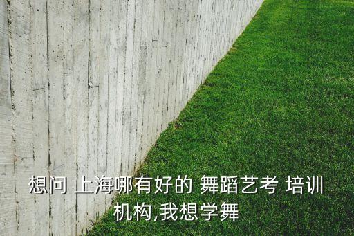 想问 上海哪有好的 舞蹈艺考 培训机构,我想学舞