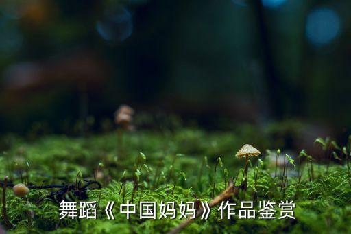  舞蹈《中国妈妈》作品鉴赏