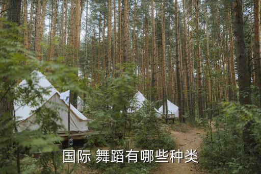 欧洲社交舞蹈,欧洲标准交谊舞原名社交舞蹈