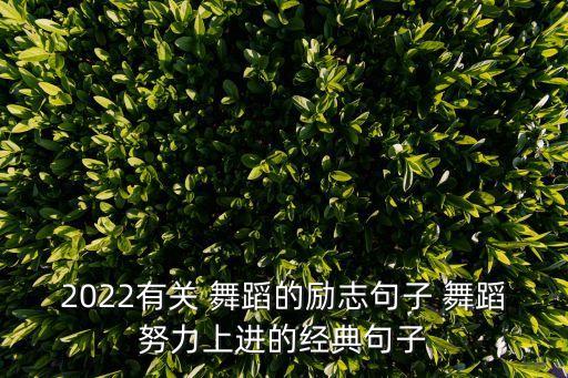 奋进的节奏舞蹈,芭蕾舞是什么?