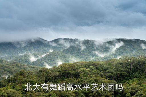  北大有舞蹈高水平艺术团吗