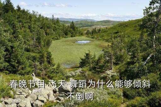 春晚节目 飞天 舞蹈为什么能够倾斜不倒啊