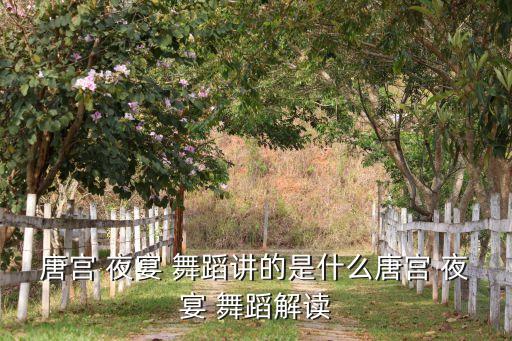 唐宫 夜宴 舞蹈讲的是什么唐宫 夜宴 舞蹈解读