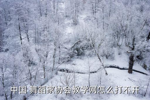 中国 舞蹈家协会教学网怎么打不开
