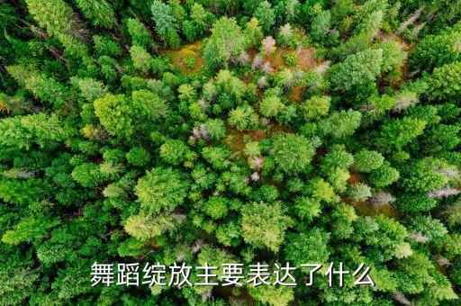  舞蹈绽放主要表达了什么
