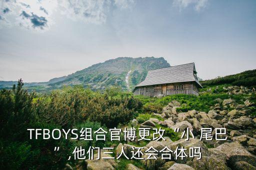 小尾巴舞蹈动作,晨光|玩物壮志:小鸡鸡叽叽喳喳吃虫子和稀饭