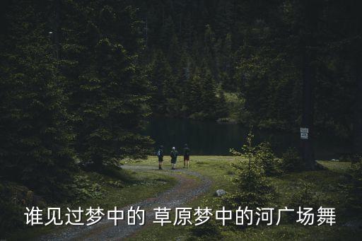 草原恋舞蹈视频,蒙古族舞蹈串烧歌