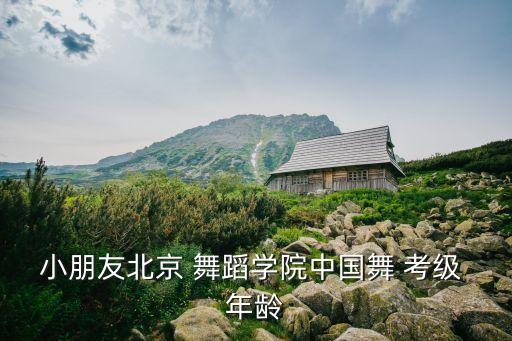 小朋友北京 舞蹈学院中国舞 考级 年龄