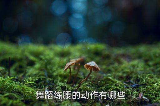  舞蹈练腰的动作有哪些