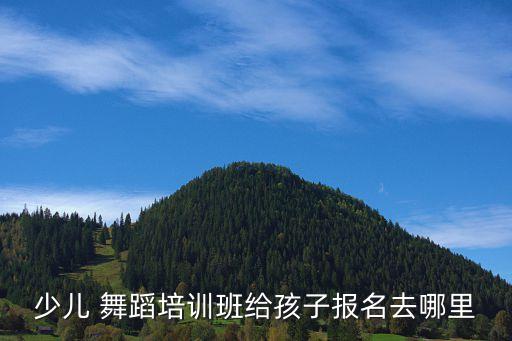 快乐小舞星启蒙舞蹈一 二级,中国舞蹈家庭协会注册舞蹈教师