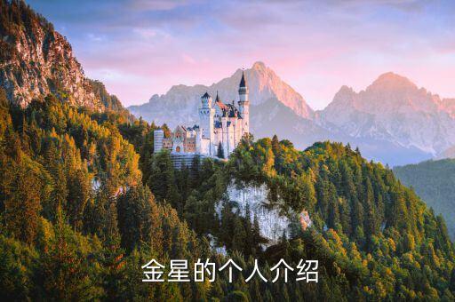  金星的个人介绍