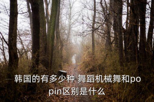 韩国三种舞蹈,韩团复古舞蹈很不错韩式风格比较多元