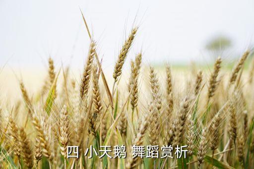 四 小天鹅 舞蹈赏析