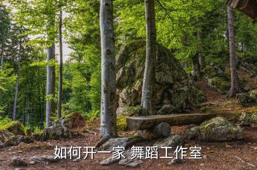 ie舞蹈室,如何开舞蹈studio?