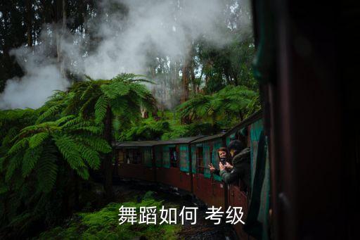  舞蹈如何 考级
